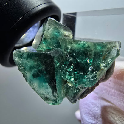 Rare spécimen de cube de fluorite fantôme, vert-violet, Okorusu, Namibie, 25*23*15 mm #11845 