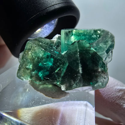 Rare spécimen de cube de fluorite fantôme, vert-violet, Okorusu, Namibie, 25*23*15 mm #11845 