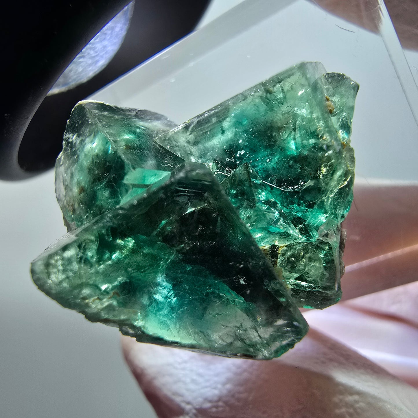 Rare spécimen de cube de fluorite fantôme, vert-violet, Okorusu, Namibie, 25*23*15 mm #11845 