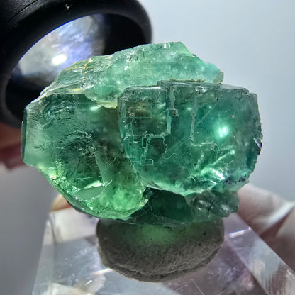 Rare spécimen de cube de fluorite fantôme, vert-violet, Okorusu, Namibie, 26*21*18mm #11847 