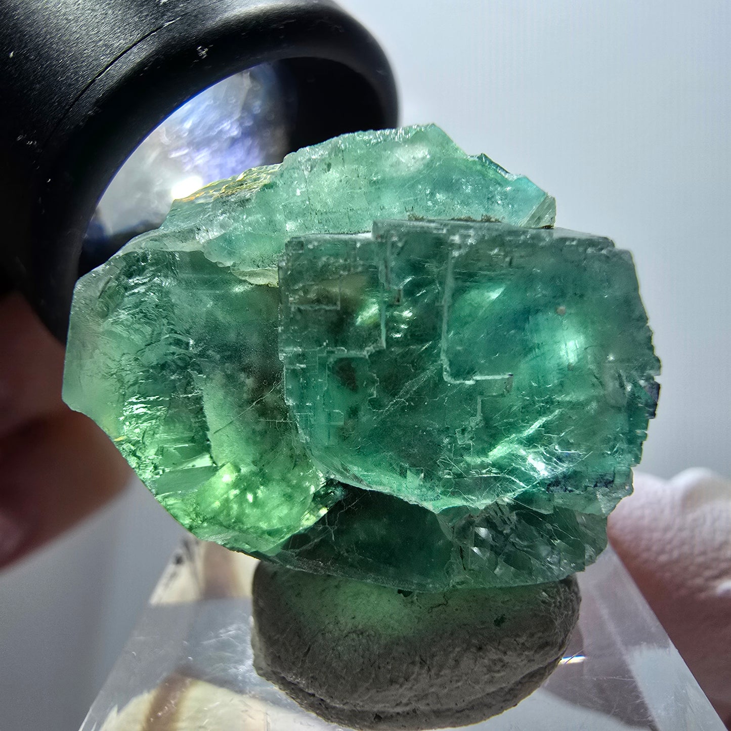 Rare spécimen de cube de fluorite fantôme, vert-violet, Okorusu, Namibie, 26*21*18mm #11847 