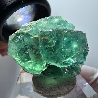 Rare spécimen de cube de fluorite fantôme, vert-violet, Okorusu, Namibie, 26*21*18mm #11847 