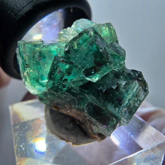 Spécimen cubique de fluorite fantôme transparente, Okorusu vert tessellé, Namibie 28*22*18mm #11849