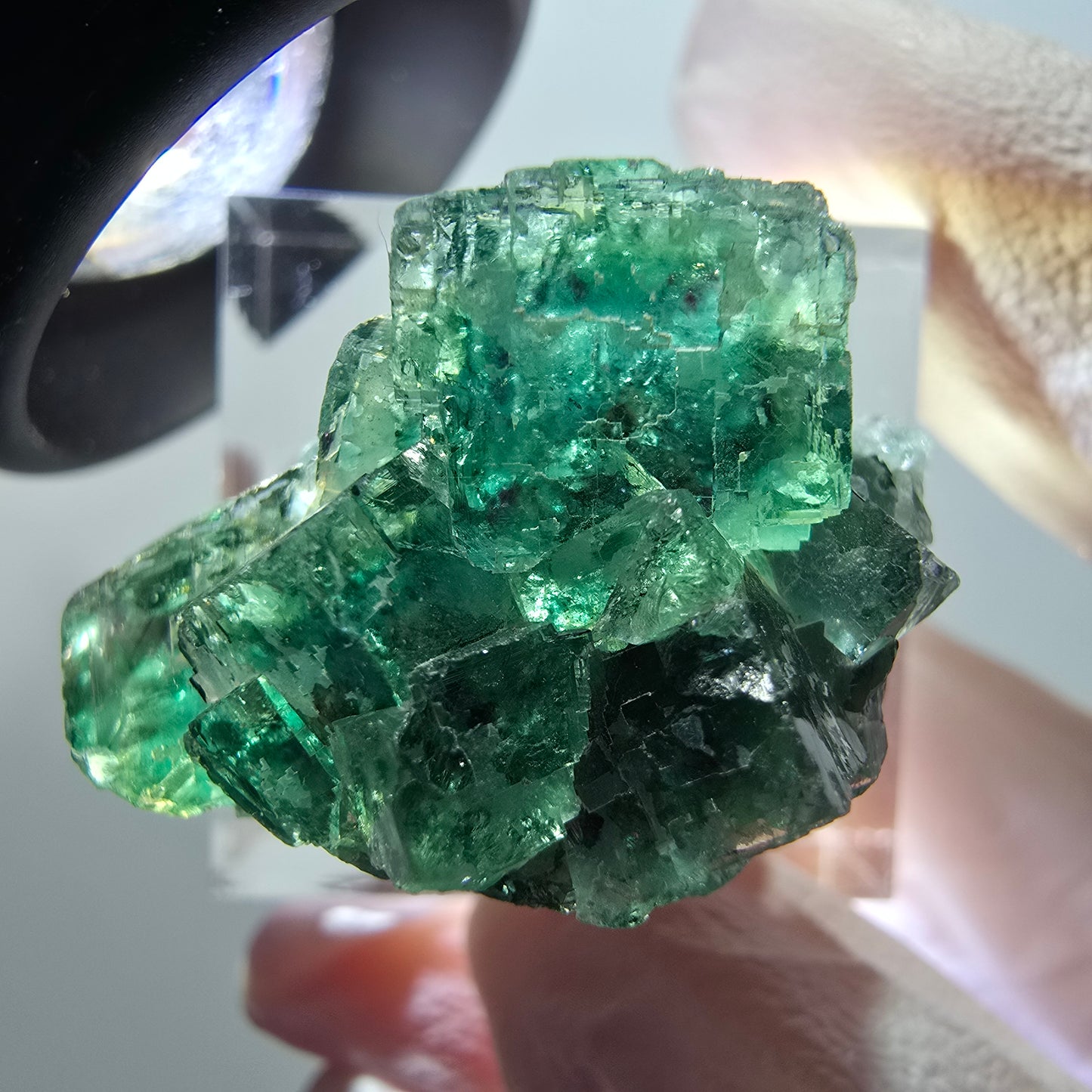 Spécimen cubique de fluorite fantôme transparente, Okorusu vert tessellé, Namibie 28*22*18mm #11849 