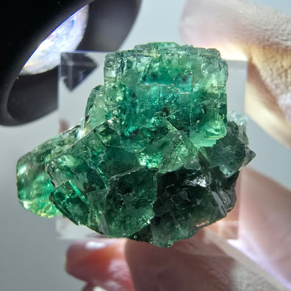 Spécimen cubique de fluorite fantôme transparente, Okorusu vert tessellé, Namibie 28*22*18mm #11849 