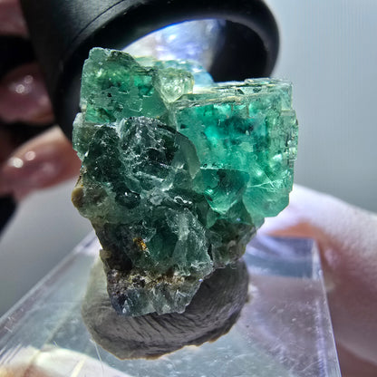 Spécimen cubique de fluorite fantôme transparente, Okorusu vert tessellé, Namibie 28*22*18mm #11849 