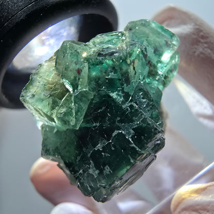 Spécimen cubique de fluorite fantôme transparente, Okorusu vert tessellé, Namibie 28*22*18mm #11849 