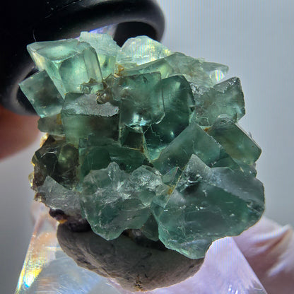 Rare spécimen de cube de fluorite fantôme, vert-violet, Okorusu, Namibie, 32*26*20mm #11850 
