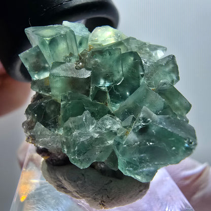 Rare spécimen de cube de fluorite fantôme, vert-violet, Okorusu, Namibie, 32*26*20mm #11850 