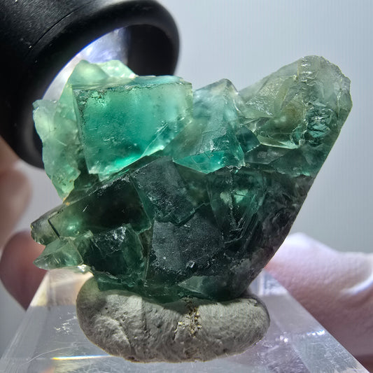Clear phantom fluorite cube specimen, green parqueted Okorusu, Namibia 34*31*12mm #11851 