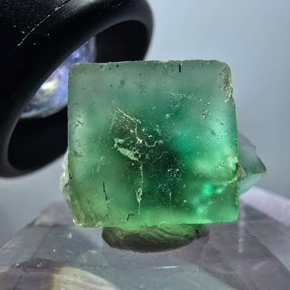 Spécimen cubique de fluorite fantôme transparente, Okorusu vert, Namibie 19*15*10mm #11857 
