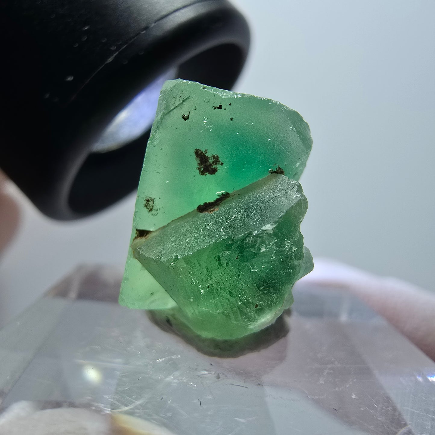 Spécimen cubique de fluorite fantôme transparente, Okorusu vert, Namibie 19*15*10mm #11857 