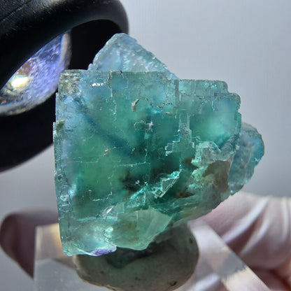 Spécimen cubique de fluorite fantôme transparente, Okorusu à carreaux verts, Namibie 31*25*15mm #11858 