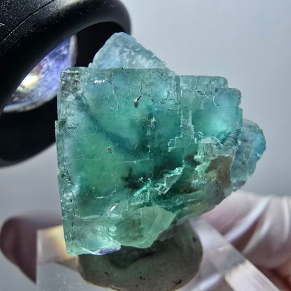 Spécimen cubique de fluorite fantôme transparente, Okorusu à carreaux verts, Namibie 31*25*15mm #11858 