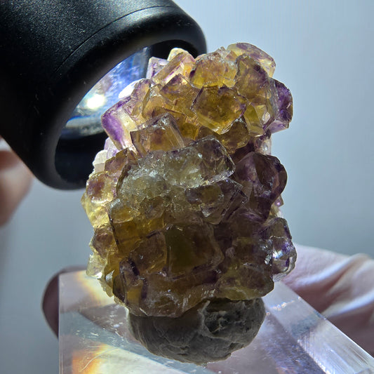 Rare phantom fluorite cube specimen, yellow-purple, Okorusu, Namibia, 28*22*13mm #11864 