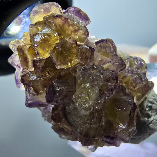 Rare spécimen de cube de fluorite fantôme, jaune-violet, Okorusu, Namibie, 28*22*13 mm #11864
