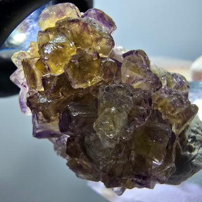 Rare spécimen de cube de fluorite fantôme, jaune-violet, Okorusu, Namibie, 28*22*13 mm #11864 