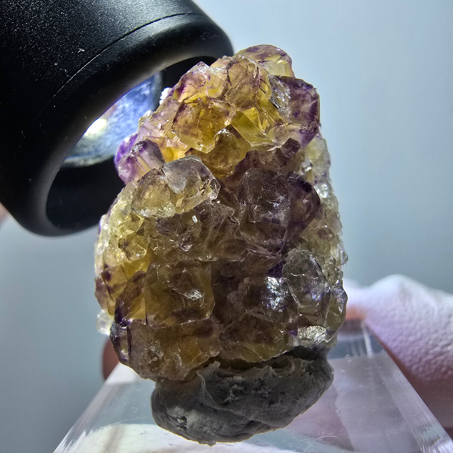 Rare spécimen de cube de fluorite fantôme, jaune-violet, Okorusu, Namibie, 28*22*13 mm #11864 