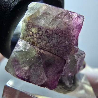 Rare phantom fluorite cube specimen, green-purple, Okorusu, Namibia, 36*23*20mm #11869 