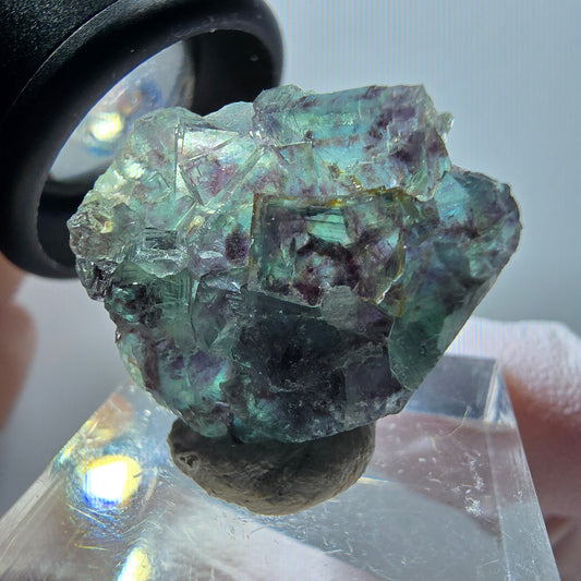 Rare phantom fluorite cube specimen, green-purple, Okorusu, Namibia, 23*22*9mm #11872 