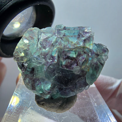 Rare phantom fluorite cube specimen, green-purple, Okorusu, Namibia, 23*22*9mm #11872 