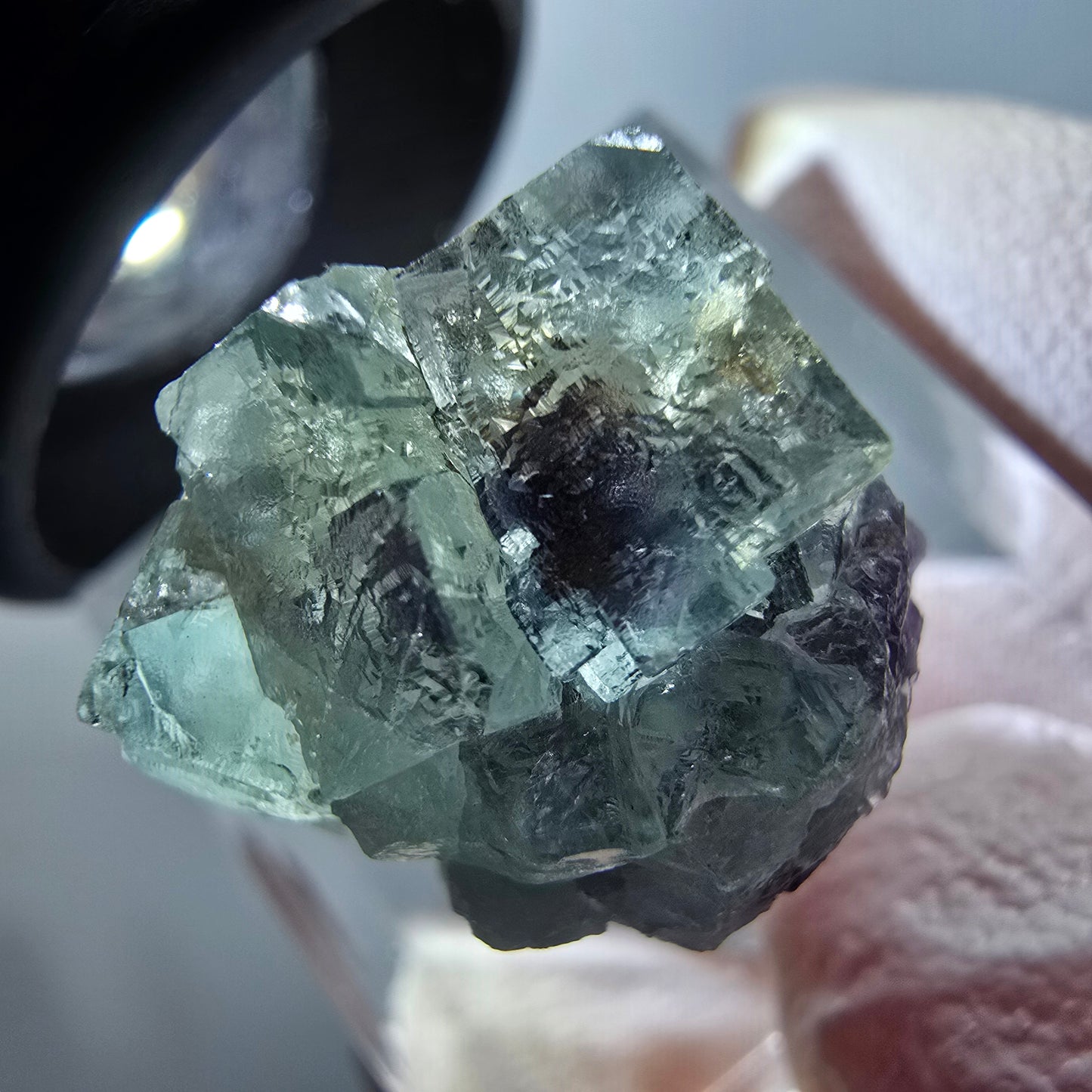 Rare spécimen de cube de fluorite fantôme, vert-violet, Okorusu, Namibie, 20*16*16 mm #11874 