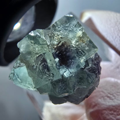 Rare spécimen de cube de fluorite fantôme, vert-violet, Okorusu, Namibie, 20*16*16 mm #11874 