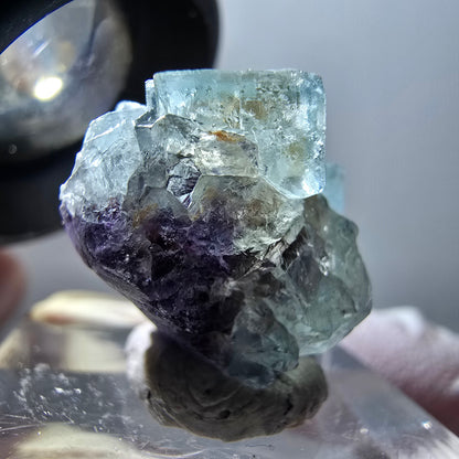 Rare spécimen de cube de fluorite fantôme, vert-violet, Okorusu, Namibie, 20*16*16 mm #11874 