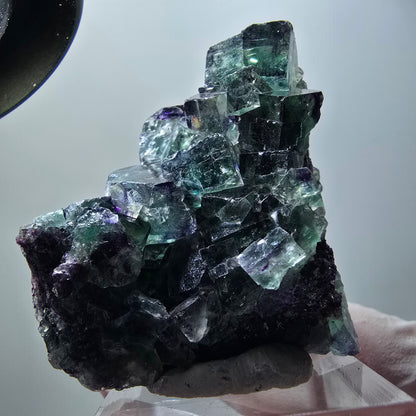 Rare spécimen de cube de fluorite fantôme, vert-violet, Okorusu, Namibie, 49*42*31 mm #11878 