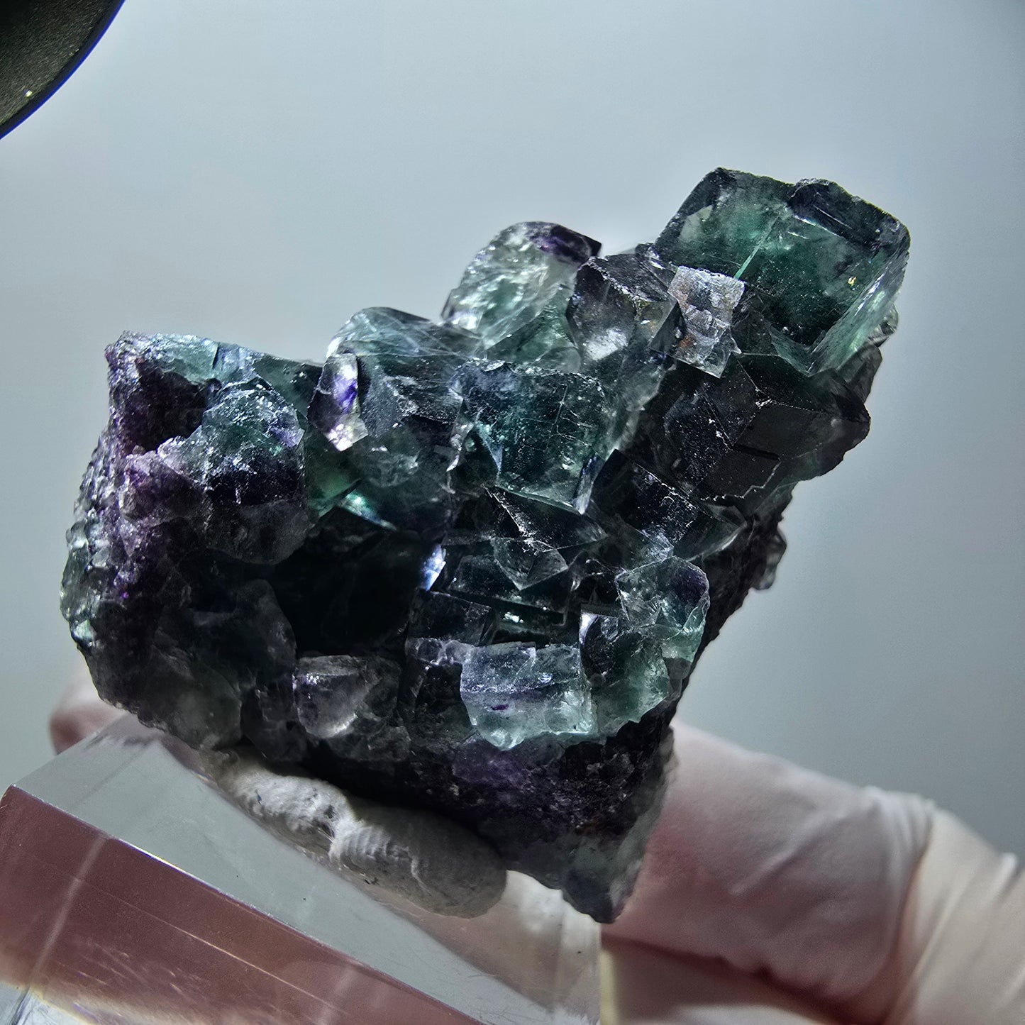 Rare spécimen de cube de fluorite fantôme, vert-violet, Okorusu, Namibie, 49*42*31 mm #11878 