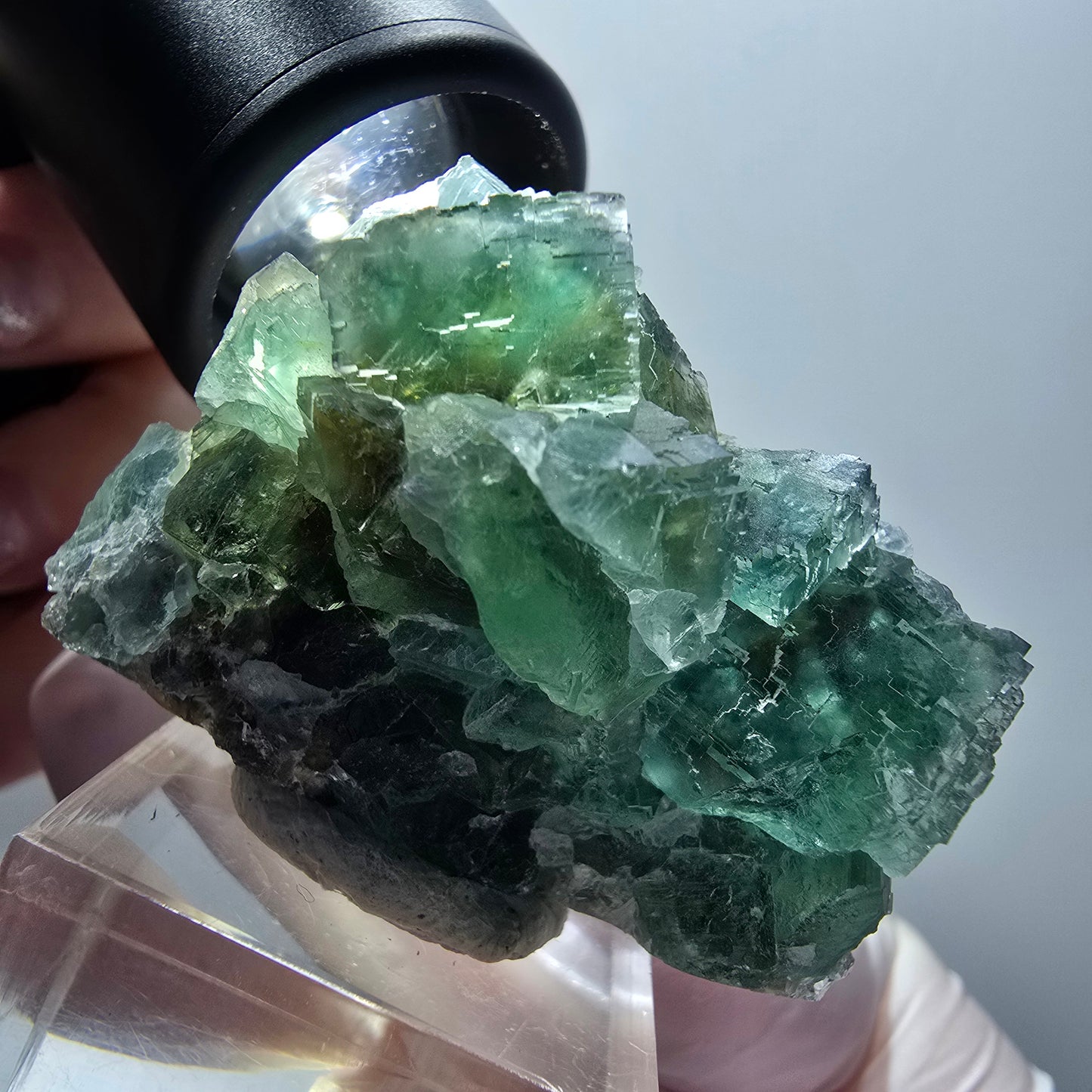 Cube de marche en fluorite Phantom, parquet vert Okorusu, Namibie 49*33*24mm #11879 
