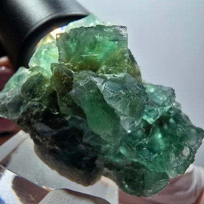 Cube de marche en fluorite Phantom, parquet vert Okorusu, Namibie 49*33*24mm #11879 