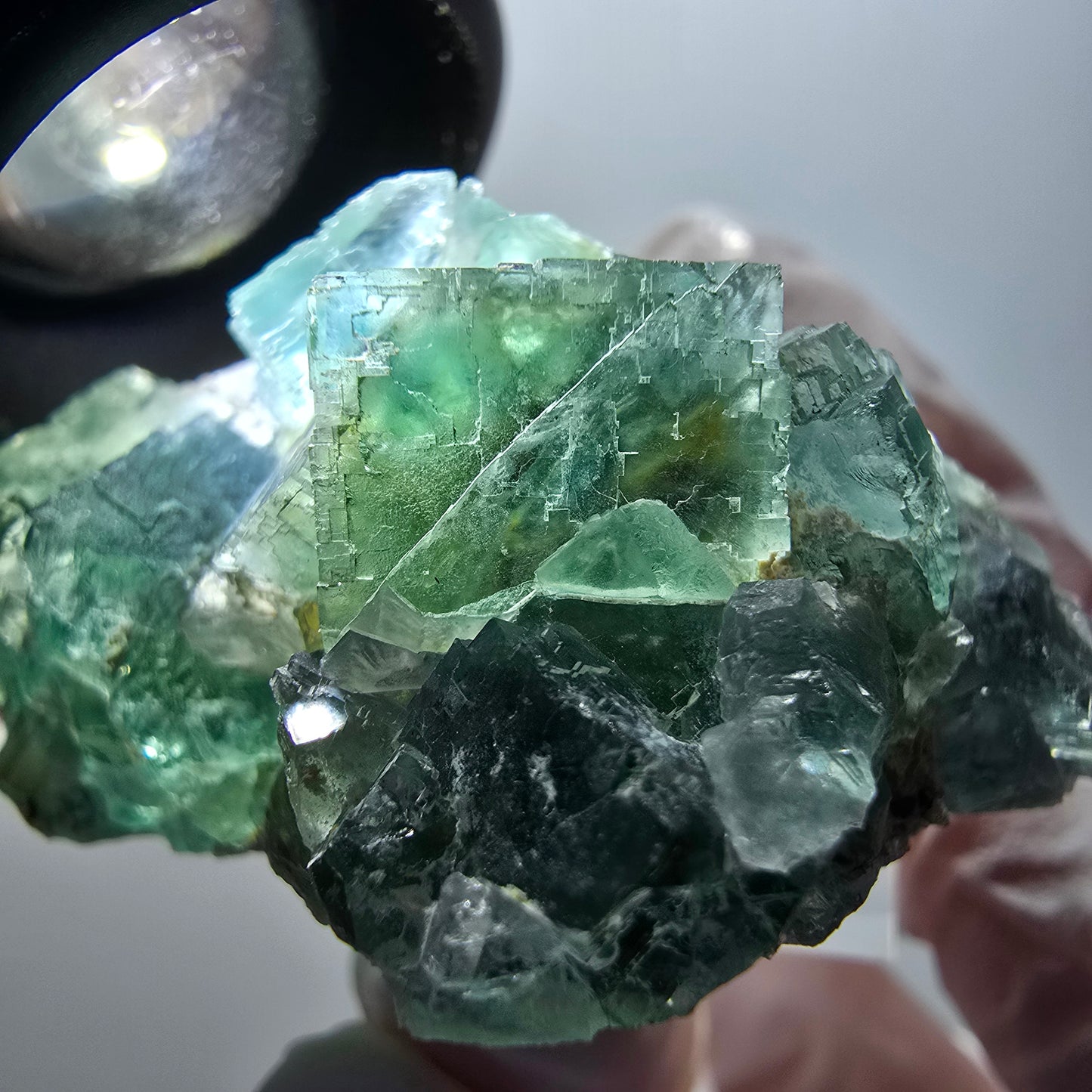Cube de marche en fluorite Phantom, parquet vert Okorusu, Namibie 49*33*24mm #11879 