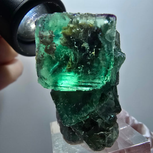 Phantom Fluorite Cube Step, green parqueted Okorusu, Namibia 39*36*27mm #11880 