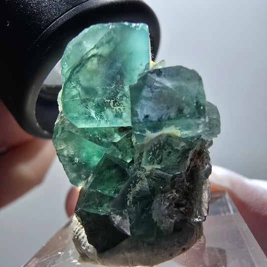 Rare phantom fluorite cube specimen, green, Okorusu, Namibia, 31*29*21mm #11881 