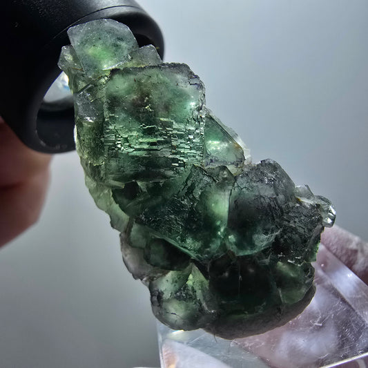 Phantom Fluorite Cube Step, green parqueted Okorusu, Namibia 44*25*14mm #11882 
