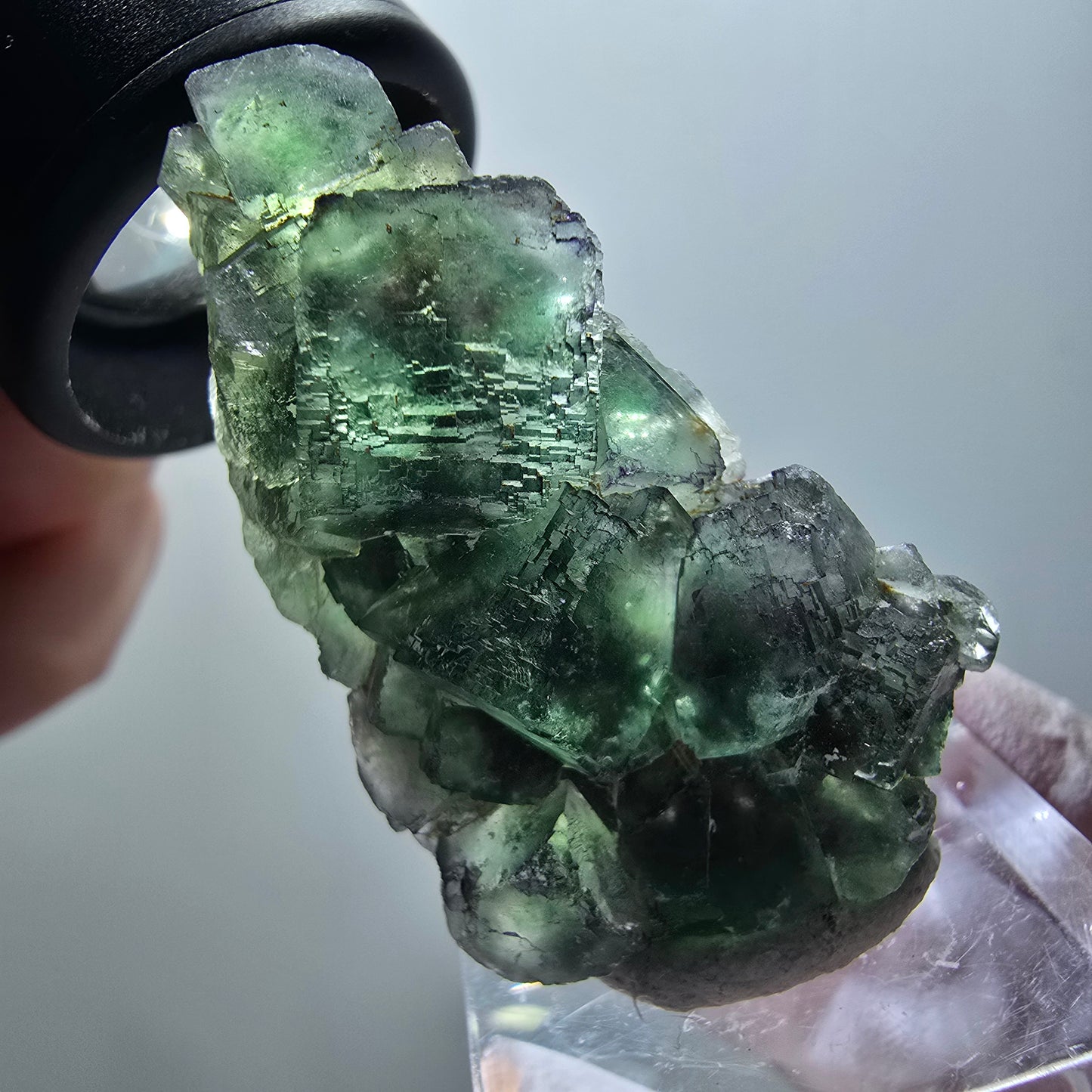 Phantom Fluorite Cube Step, green parqueted Okorusu, Namibia 44*25*14mm #11882 