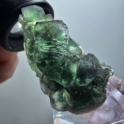 Phantom Fluorite Cube Step, green parqueted Okorusu, Namibia 44*25*14mm #11882 