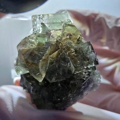 Rare phantom fluorite cube specimen, green-purple, Okorusu, Namibia, 37*33*20mm #11883 