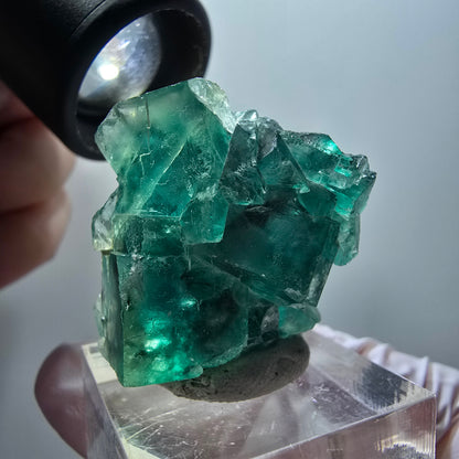 Phantom Fluorite Cube Step, parquet vert Okorusu, Namibie 34*27*14mm #11884 