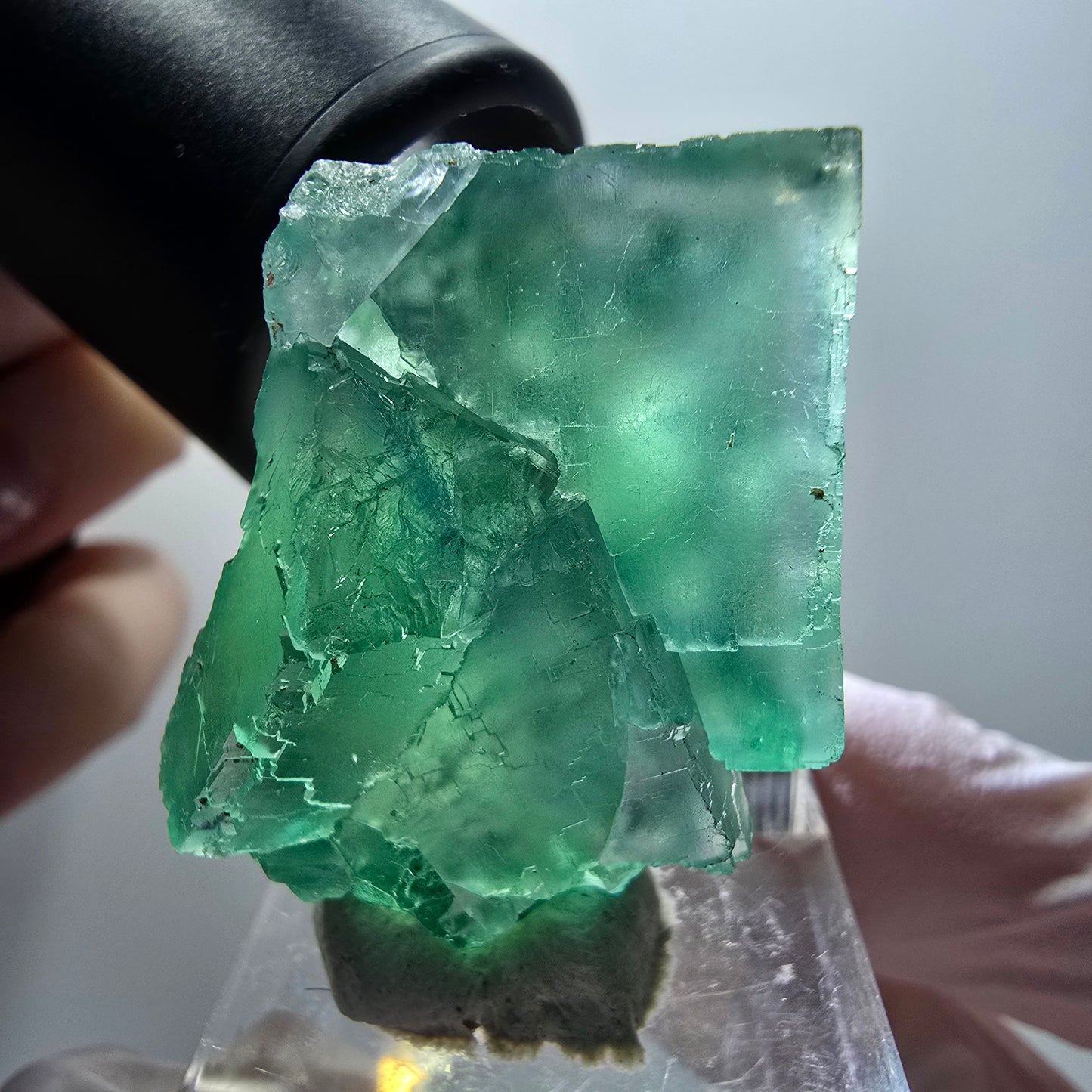 Cube de fluorite Phantom Step, parquet vert Okorusu, Namibie 34*27*18mm #11889 