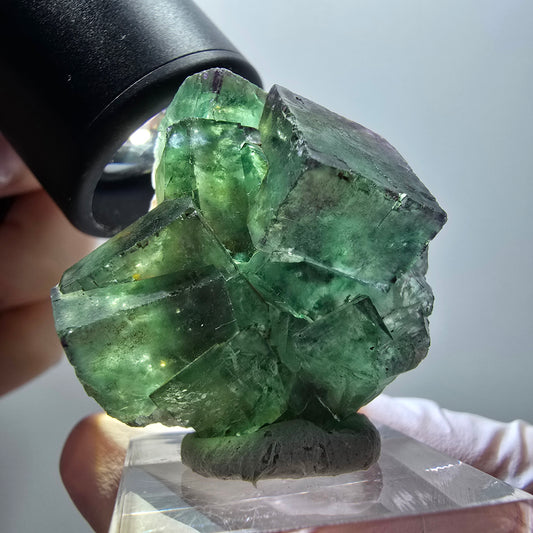 Rare spécimen de cube de fluorite fantôme, vert-violet, Okorusu, Namibie, 35*35*21 mm #11894