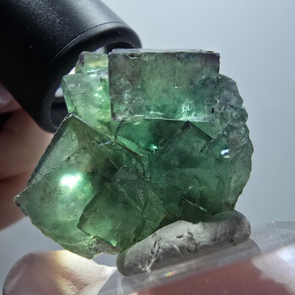 Rare phantom fluorite cube specimen, green-purple, Okorusu, Namibia, 35*35*21mm #11894 