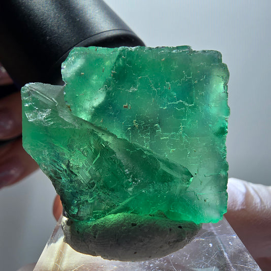 Phantom Fluorite Cube Step, green parqueted Okorusu, Namibia 35*33*29mm #11895 