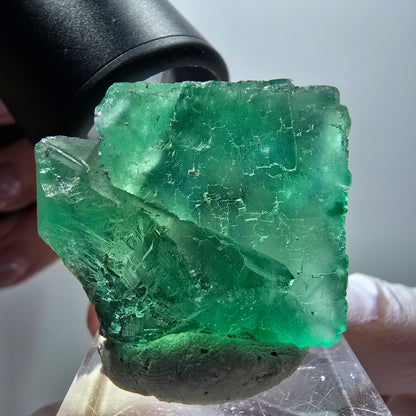 Phantom Fluorite Cube Step, green parqueted Okorusu, Namibia 35*33*29mm #11895 
