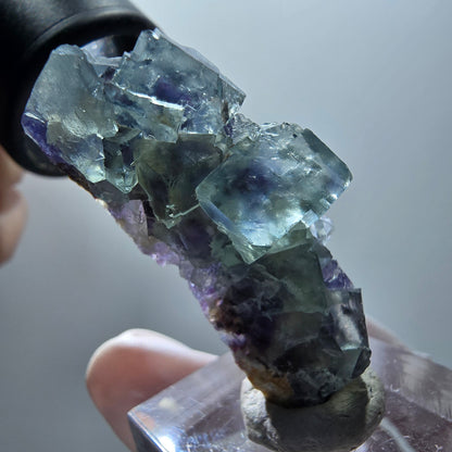 Rare spécimen de cube de fluorite fantôme, vert-violet, Okorusu, Namibie, 41*16*16 mm #11896 