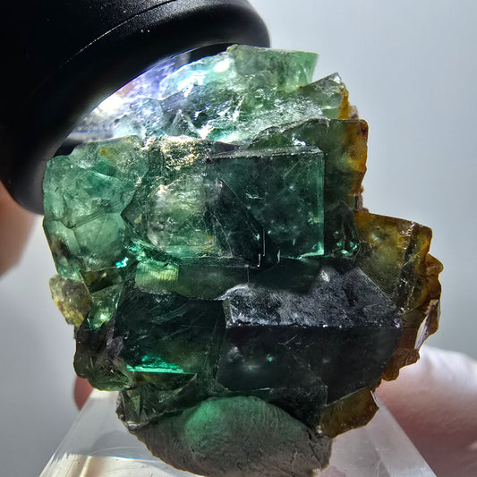 Rare phantom fluorite cube specimen, green-purple, Okorusu, Namibia, 34*33*17mm #11904 