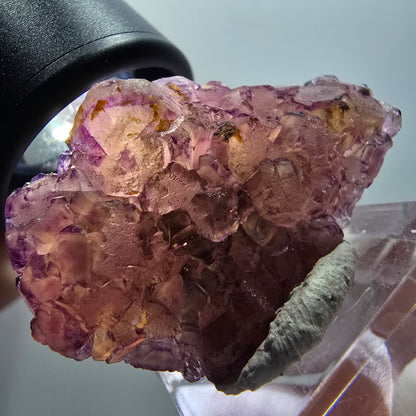 Rare spécimen cubique de fluorite fantôme, violet-jaune, Okorusu, Namibie, 42*28*21 mm #11906 