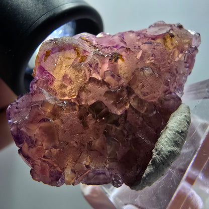 Rare spécimen cubique de fluorite fantôme, violet-jaune, Okorusu, Namibie, 42*28*21 mm #11906 