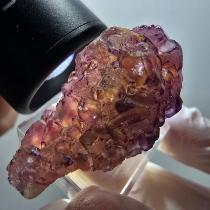 Rare spécimen cubique de fluorite fantôme, violet-jaune, Okorusu, Namibie, 42*28*21 mm #11906 